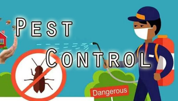 Pest Control Service